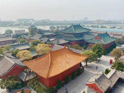 国内旅游多为啥还要出国？揭秘国外旅游的真实魅力